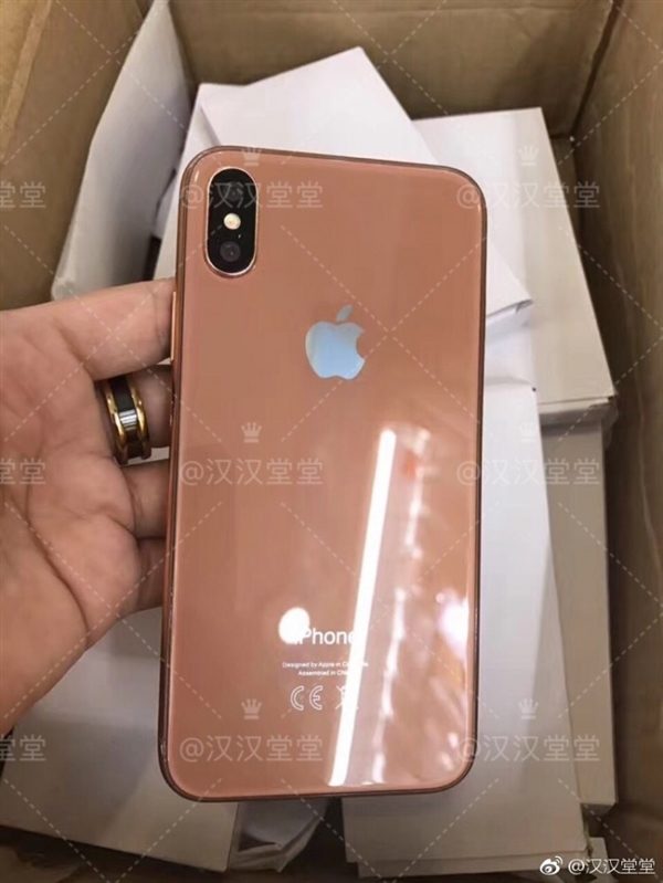 Hva synes du om kobber-gull-fargen som kanskje dekker iPhone 8?