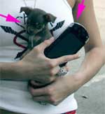 Paris Hilton med PSP