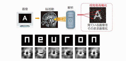 neuron-brain_01