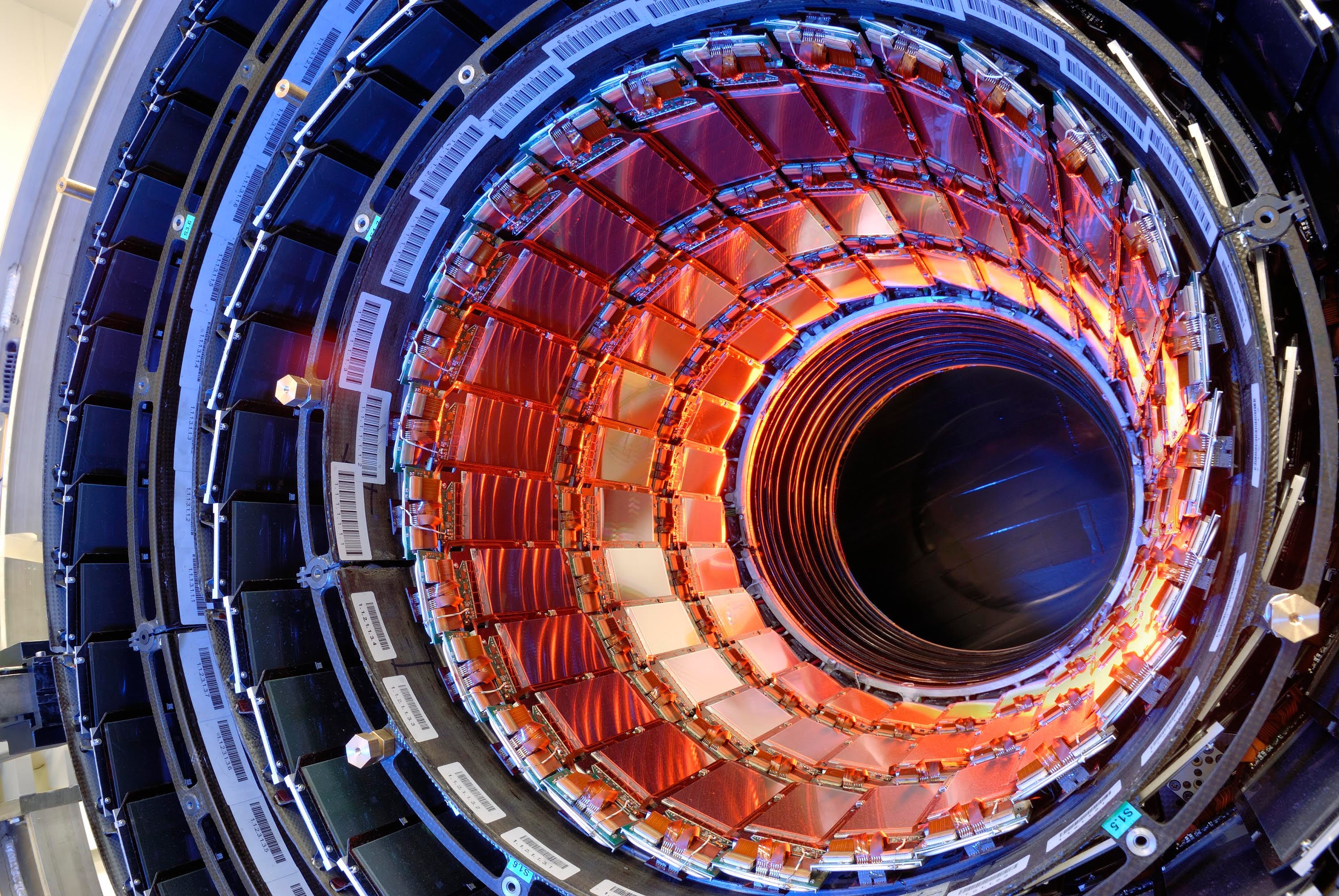 Forskere bak Large Hadron Collider har samlet store mengder data over de siste årene, og disse slippes regelmessige til offentligheten.