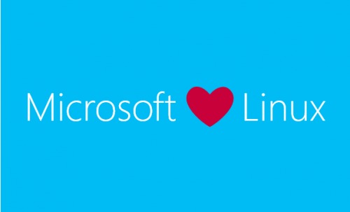 Microsoft har lagt sin elsk på Linux.