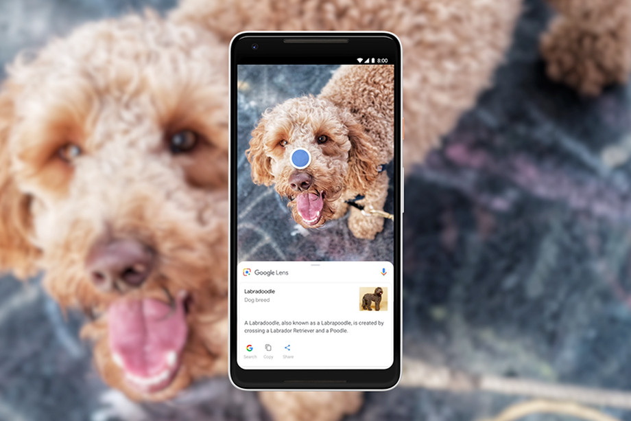 Google Lens er nå tilgjengelig for Android. Sony-duoen XZ2 og Compact er først ut.