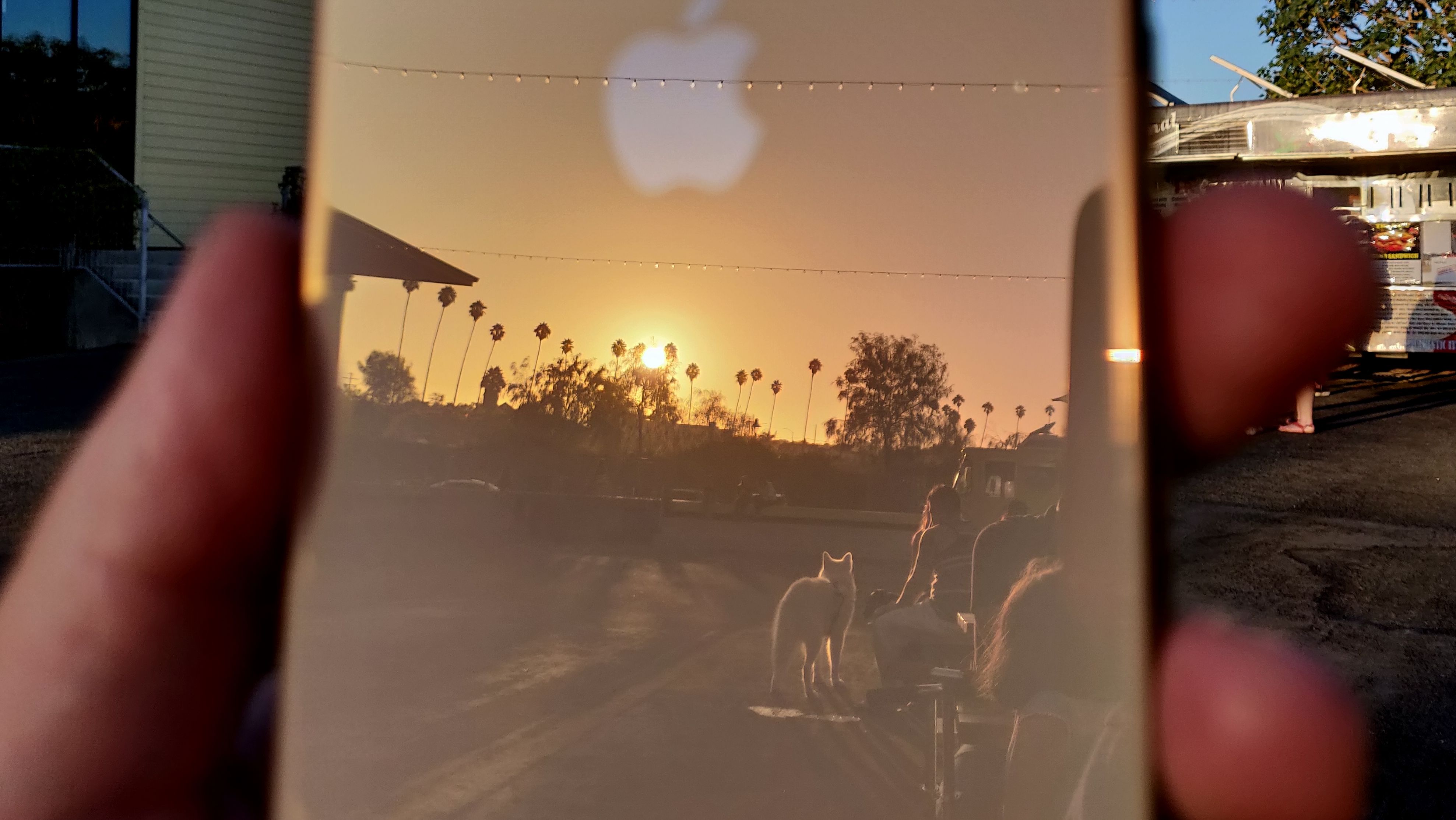 SNIKTITT: iPhone Xs Max - se bildeduellen mot OnePlus 6