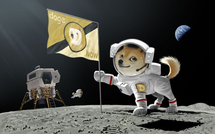 spacexdogecoin