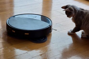 En katt sitter på et lyst tregulv og ser nysgjerrig på en rund robotstøvsuger som står foran den.