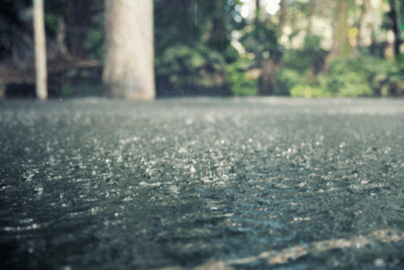 Regn pisker ned på asfalt mens kraftige dråper treffer bakken under trær i bakgrunnen, som illustrerer kraftig uvær og nedbør.