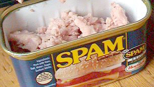 Spam er et problem også i Norge. Men så langt har få norske spammere fått svi.