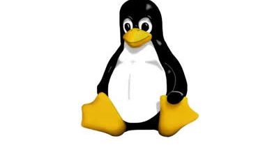 En bitteliten kodesnutt gjør mirakler for Linux' skrivebordsopplevelse og får skryt av Linux-pappa Linux Thorvalds.