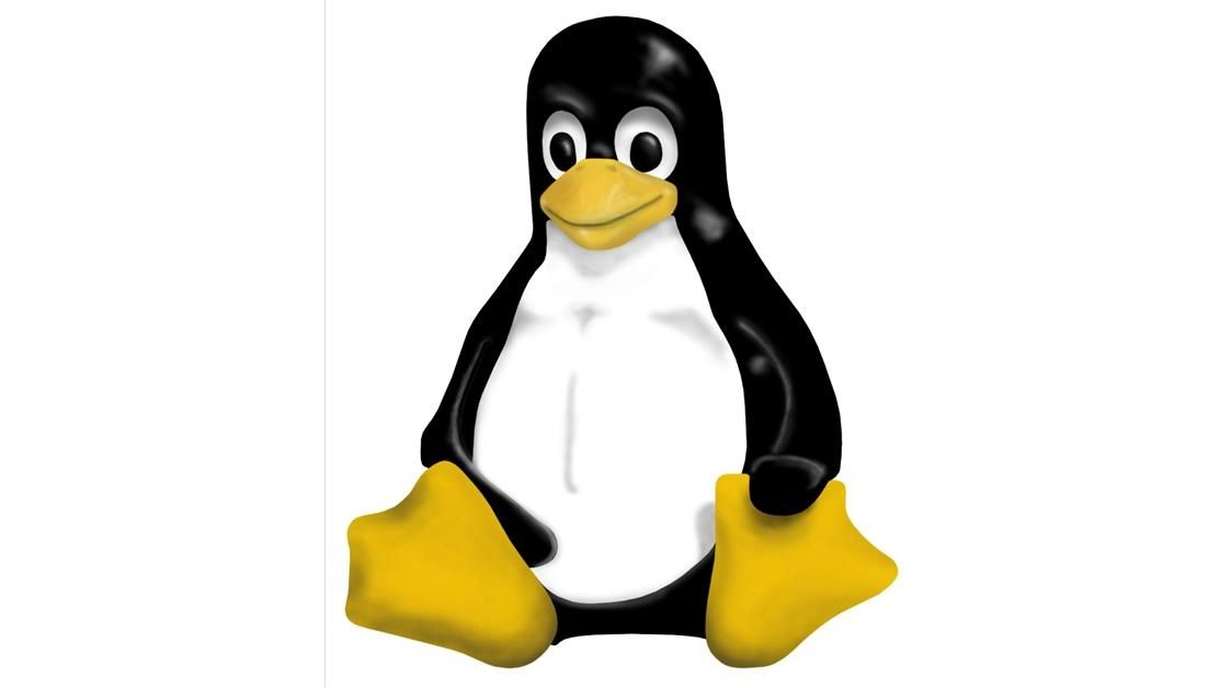 Linux-maskoten Tux får trolig være med i «I'm a Linux»-video...
