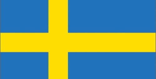 Det svenske flagget vaier over stadig flere internasjonale IT-suksesser. Hva er det de har som ikke vi har?