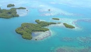 TIL SALGS:  Denne øya utenfor kysten av Panama er til salgs for ca. 550 000 kr. Noe myrlendt, men beboelig ifølge Private Islands Online.