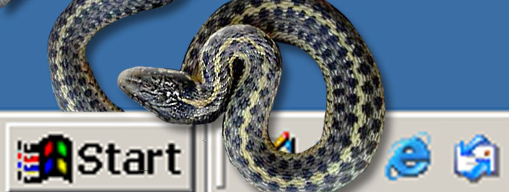 Gumblar-ormen sprer seg via nettsteder og gir deg en noe spesiell Google-opplevelse...