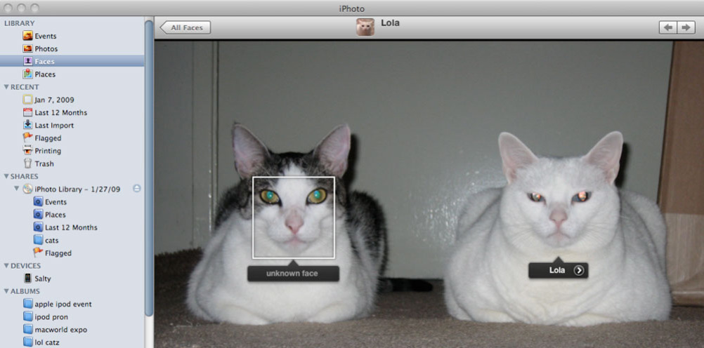 På et bilde av to katter klarte iPhotos Faces å skille Lola fra den andre katten.