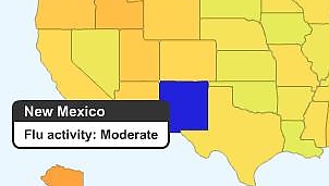 På Googles influensa-barometer kan du sjekke hvor i USA og Mexico faren for å bli smittet er størst.