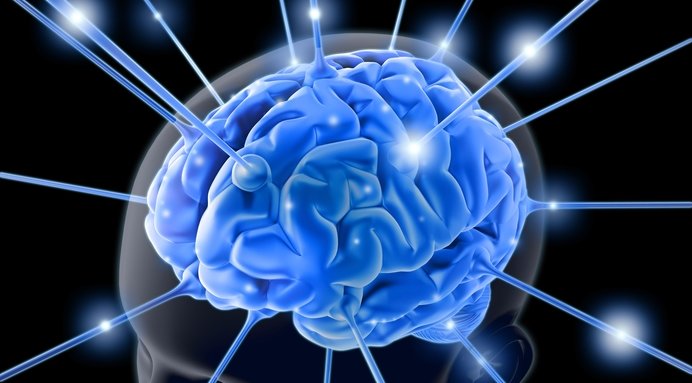 Hjernen er den mest avanserte «datamaskinen» vi kjenner. Nå kan den brukes på direkten...